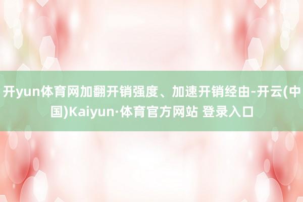 开yun体育网加翻开销强度、加速开销经由-开云(中国)Kaiyun·体育官方网站 登录入口