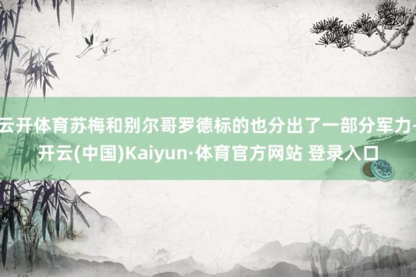 云开体育苏梅和别尔哥罗德标的也分出了一部分军力-开云(中国)Kaiyun·体育官方网站 登录入口
