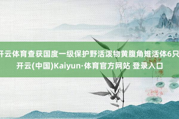 开云体育查获国度一级保护野活泼物黄腹角雉活体6只-开云(中国)Kaiyun·体育官方网站 登录入口