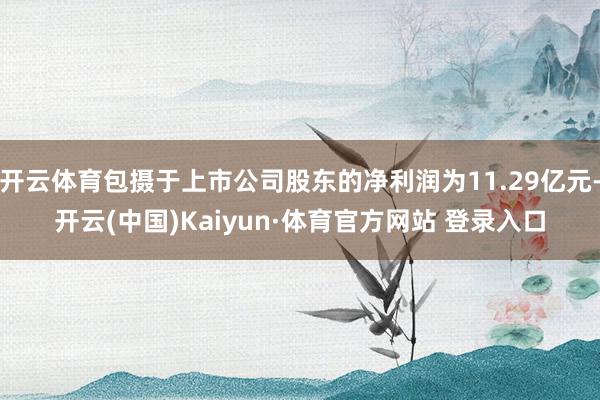 开云体育包摄于上市公司股东的净利润为11.29亿元-开云(中国)Kaiyun·体育官方网站 登录入口