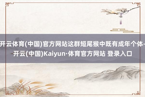 开云体育(中国)官方网站这群短尾猴中既有成年个体-开云(中国)Kaiyun·体育官方网站 登录入口