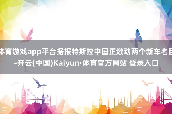 体育游戏app平台据报特斯拉中国正激动两个新车名目-开云(中国)Kaiyun·体育官方网站 登录入口