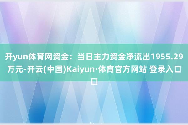 开yun体育网资金：当日主力资金净流出1955.29万元-开云(中国)Kaiyun·体育官方网站 登录入口