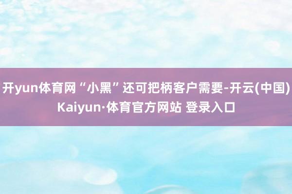 开yun体育网“小黑”还可把柄客户需要-开云(中国)Kaiyun·体育官方网站 登录入口