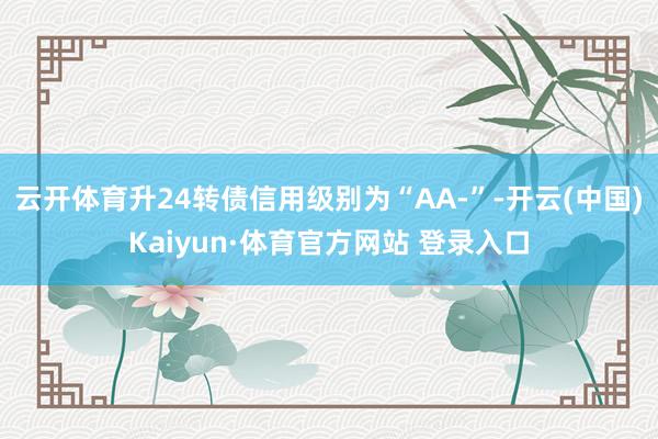 云开体育升24转债信用级别为“AA-”-开云(中国)Kaiyun·体育官方网站 登录入口